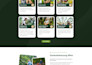 copy any website with wordpress, elementor, elementor pro